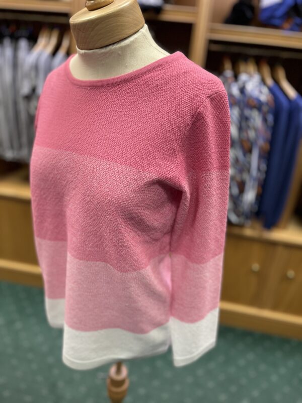 Claudia C Pink Stripe Jumper - Image 2