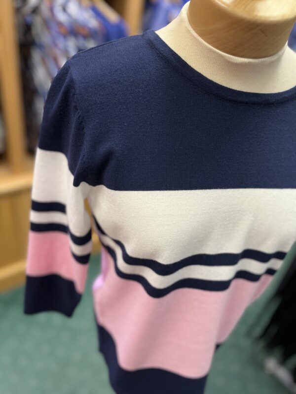 Claudia C Navy Pink Stripe Jumper - Image 2