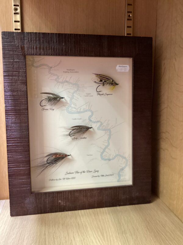 Salmon flies of the river Spey Framed