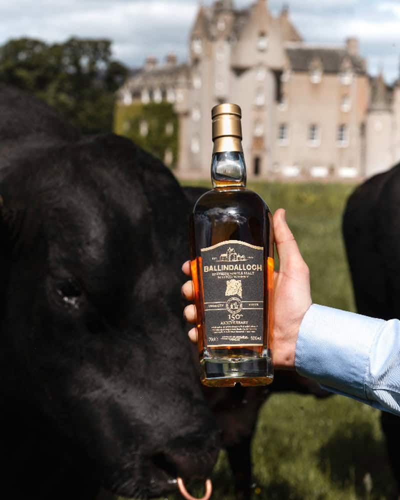 Ballindalloch Single Malt Aberdeen Angus 150th Anniversary Release - Image 2